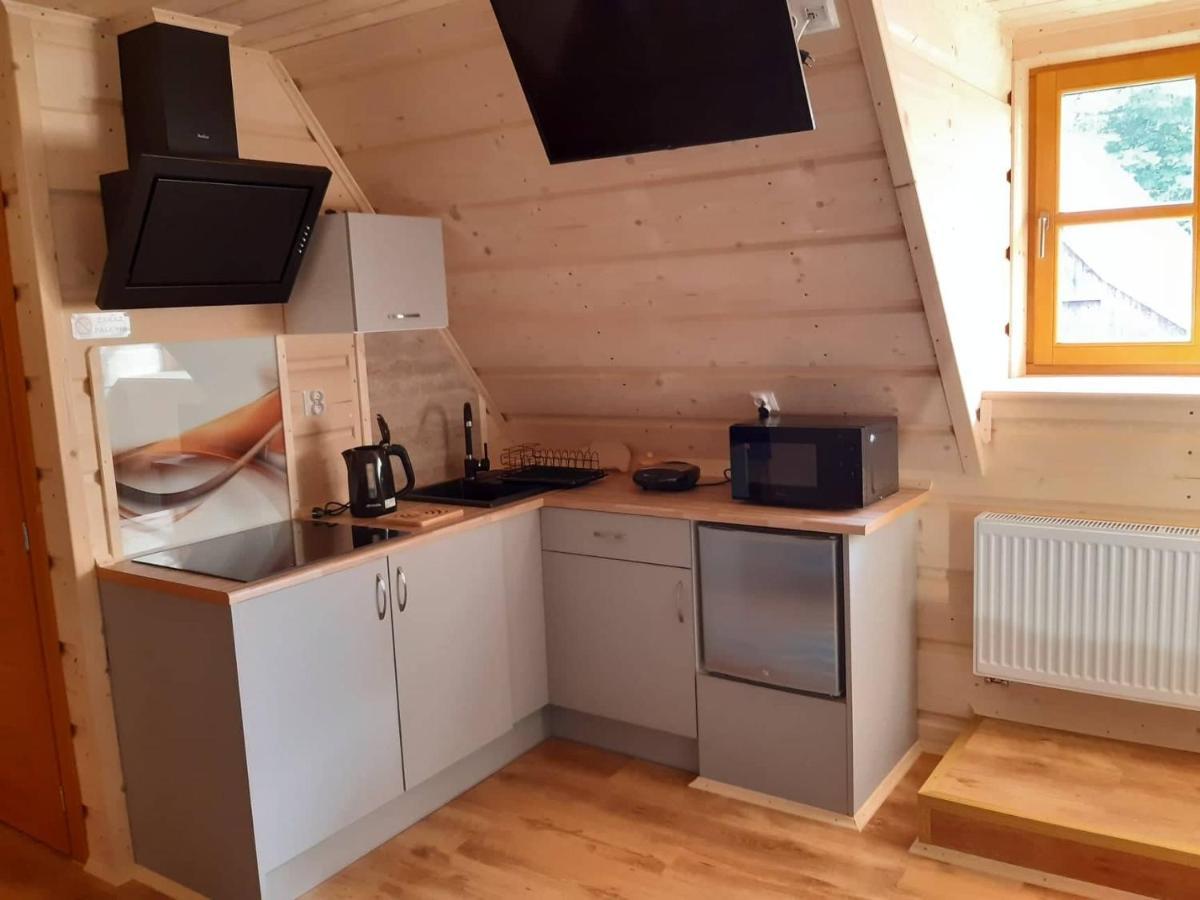 Wypoczynek U Hazow Appartement Chocholow Buitenkant foto